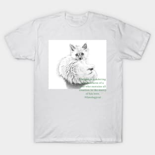 #theologycat goodness of God T-Shirt